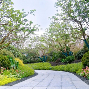 別墅庭院設(shè)計(jì)的后期如何養(yǎng)護(hù)滚瓜烂熟？